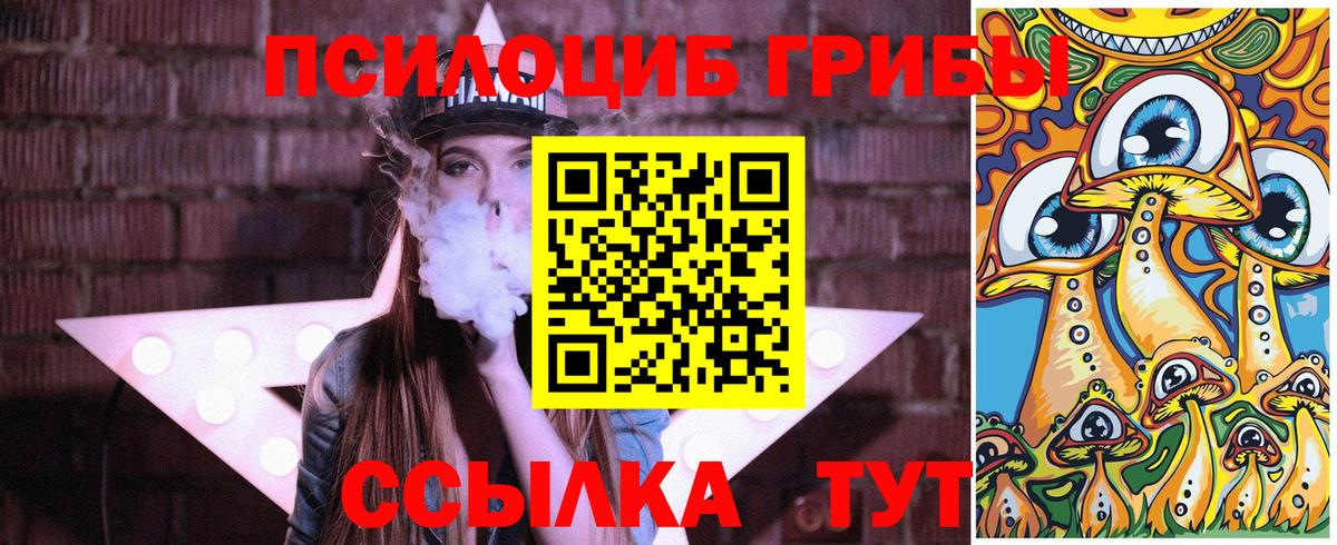 Галлюциногенные грибы Psilocybine cubensis Пенза