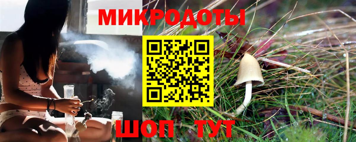 Галлюциногенные грибы GOLDEN TEACHER  Галлюциногенные грибы MAGIC MUSHROOMS  Пенза  Вход с VPN 